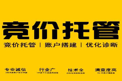 揭秘SEM搜索引擎优化成功案例，助您优化策略